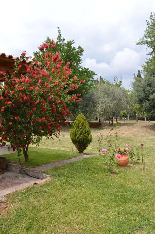 Ermis Hotel Loutra Ipatis Luaran gambar